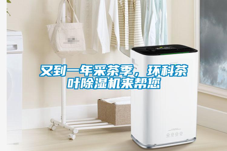 又到一年采茶季，環(huán)科茶葉除濕機(jī)來(lái)幫您