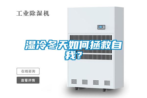 濕冷冬天如何拯救自我？