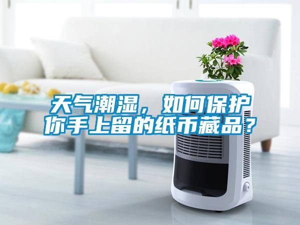 天氣潮濕，如何保護(hù)你手上留的紙幣藏品？
