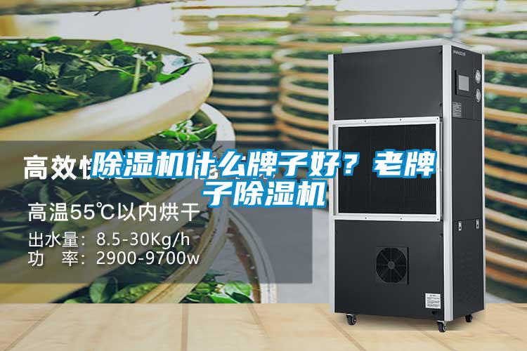 除濕機(jī)什么牌子好？老牌子除濕機(jī)