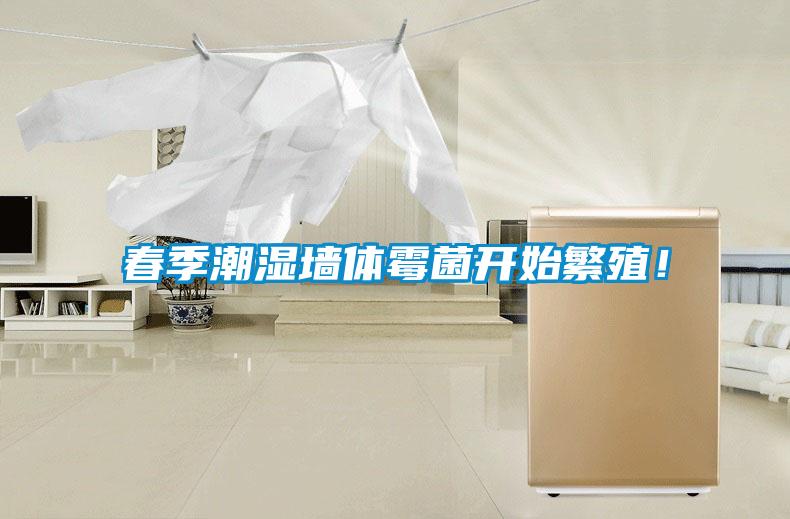 春季潮濕墻體霉菌開始繁殖！