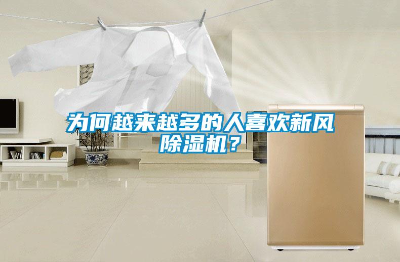 為何越來越多的人喜歡新風除濕機？