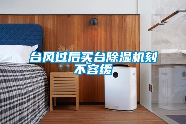 臺(tái)風(fēng)過(guò)后買(mǎi)臺(tái)除濕機(jī)刻不容緩