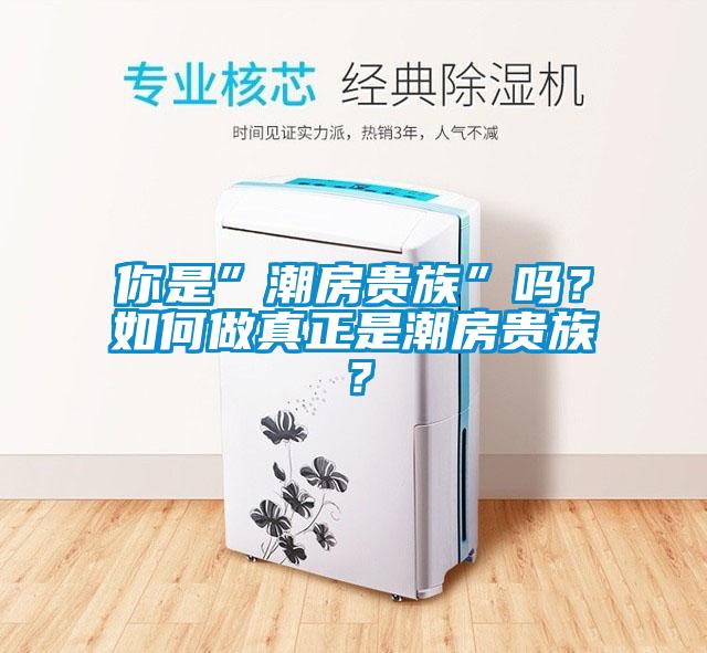 你是”潮房貴族”嗎？如何做真正是潮房貴族？