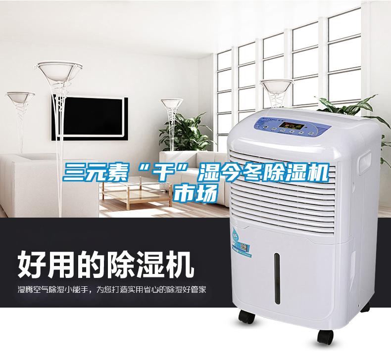三元素“干”濕今冬除濕機(jī)市場(chǎng)