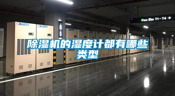 除濕機(jī)的濕度計都有哪些類型