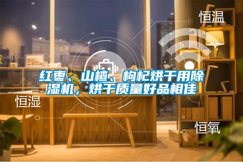 紅棗、山楂、枸杞烘干用除濕機，烘干質(zhì)量好品相佳