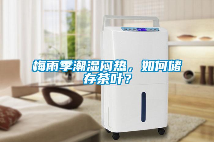 梅雨季潮濕悶熱，如何儲(chǔ)存茶葉？