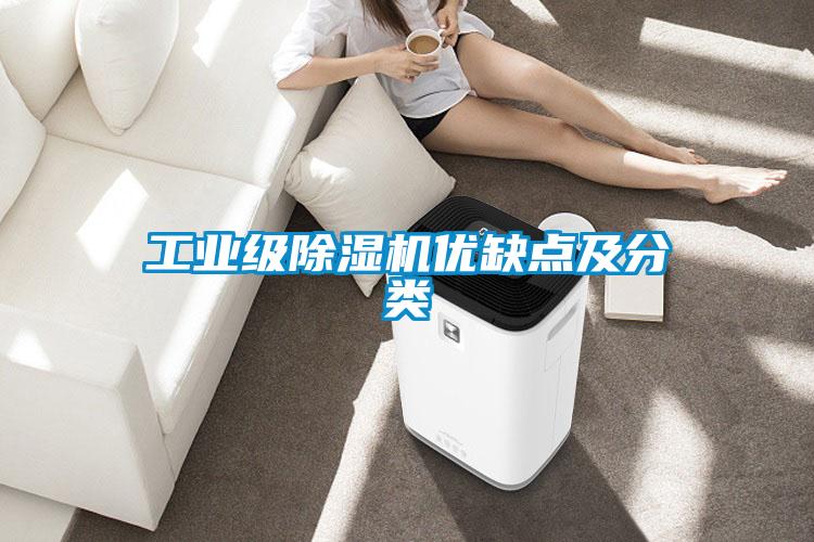 工業(yè)級除濕機優(yōu)缺點及分類