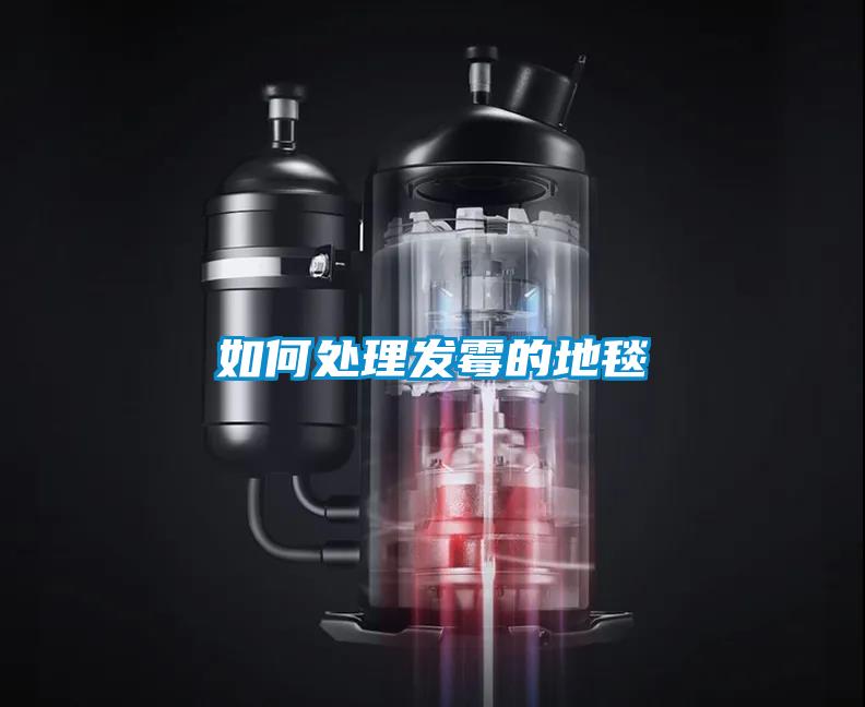 如何處理發霉的地毯