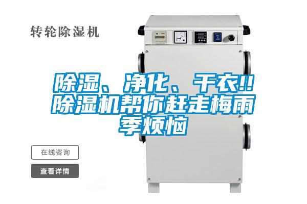 除濕、凈化、干衣!!除濕機幫你趕走梅雨季煩惱