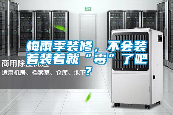 梅雨季裝修，不會裝著裝著就“霉”了吧？