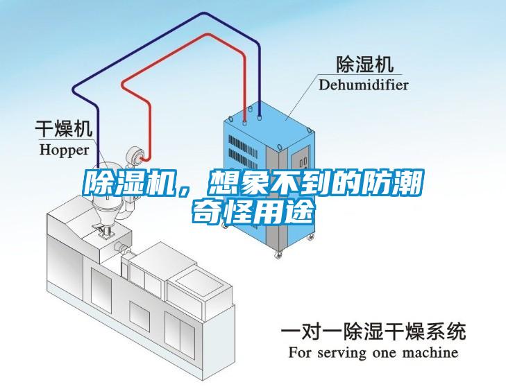除濕機，想象不到的防潮奇怪用途