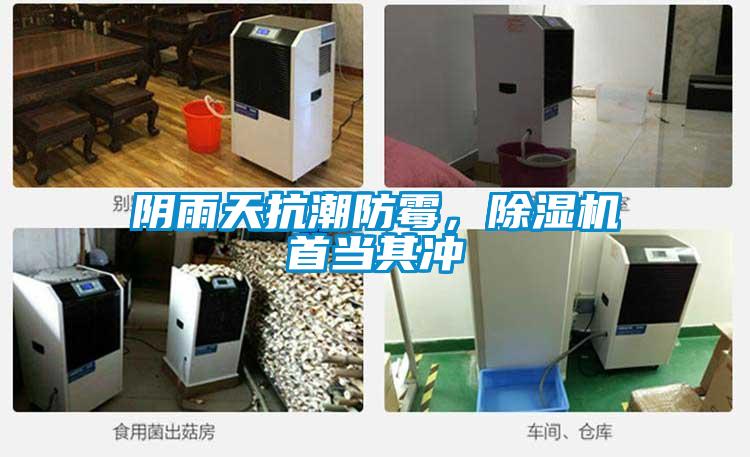 陰雨天抗潮防霉，除濕機(jī)首當(dāng)其沖