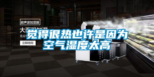 覺(jué)得很熱也許是因?yàn)榭諝鉂穸忍?/></p>
<p style=