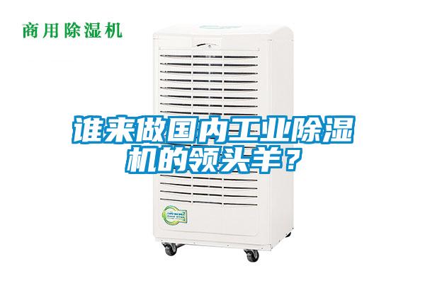 誰來做國內工業(yè)除濕機的領頭羊？
