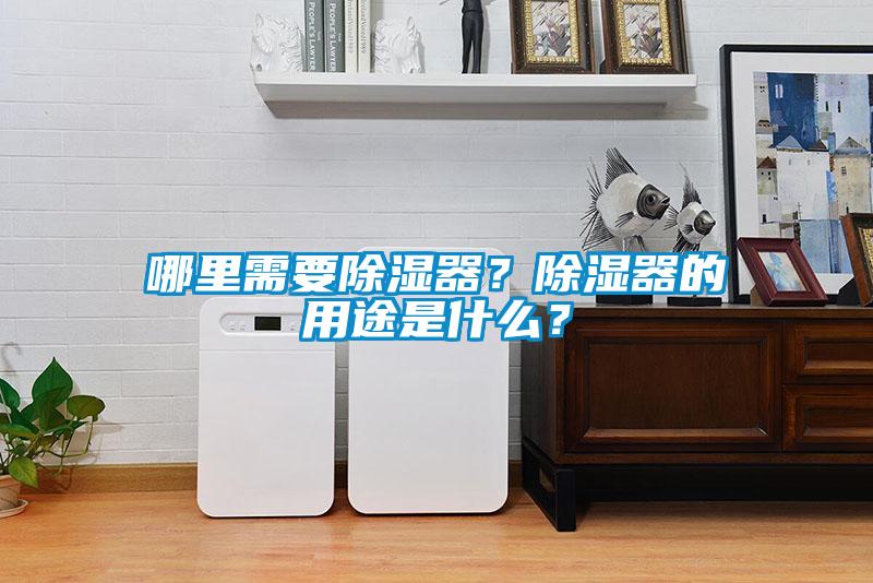 哪里需要除濕器？除濕器的用途是什么？