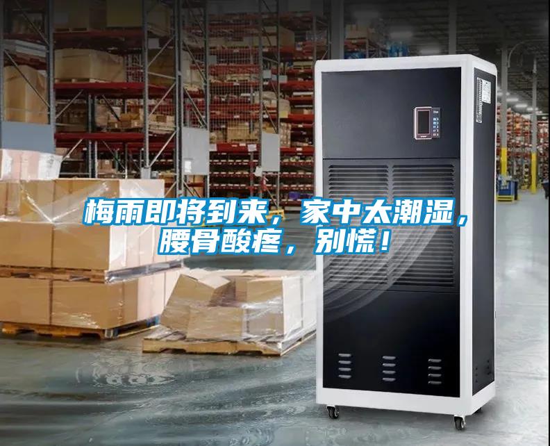 梅雨即將到來，家中太潮濕，腰骨酸疼，別慌！