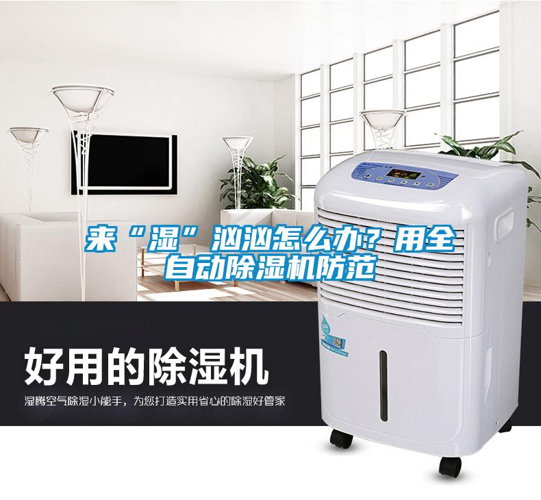 來“濕”洶洶怎么辦？用全自動(dòng)除濕機(jī)防范