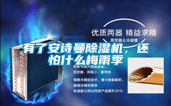 有了安詩曼除濕機，還怕什么梅雨季