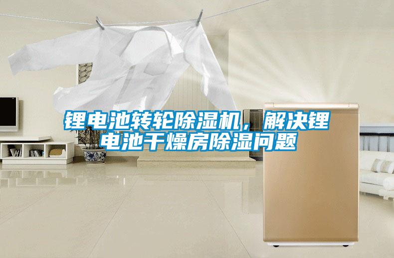 鋰電池轉(zhuǎn)輪除濕機(jī)，解決鋰電池干燥房除濕問題