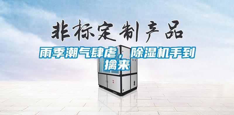 雨季潮氣肆虐，除濕機手到擒來
