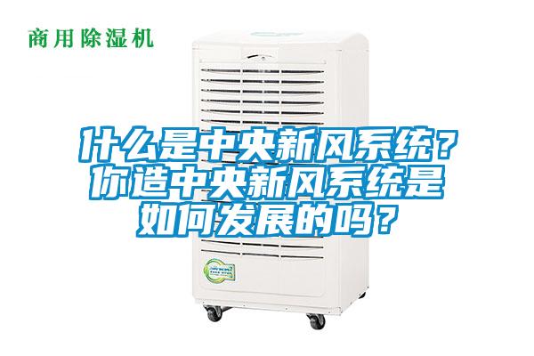什么是中央新風系統(tǒng)？你造中央新風系統(tǒng)是如何發(fā)展的嗎？