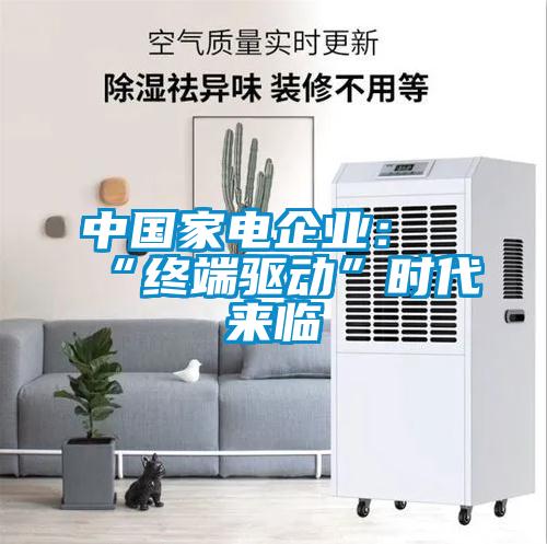 中國(guó)家電企業(yè)：“終端驅(qū)動(dòng)”時(shí)代來臨