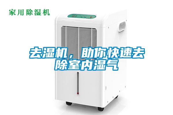去濕機，助你快速去除室內濕氣