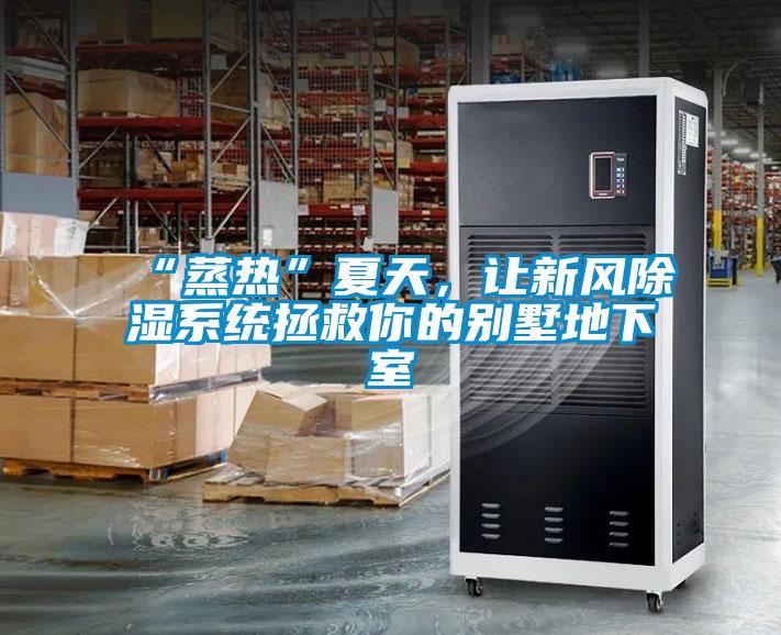 “蒸熱”夏天，讓新風除濕系統拯救你的別墅地下室