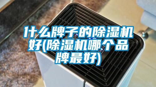 什么牌子的除濕機(jī)好(除濕機(jī)哪個品牌最好)