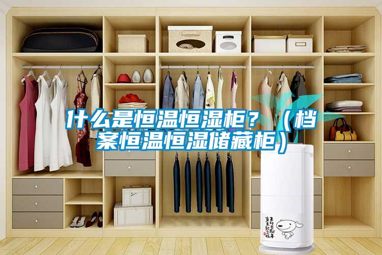 什么是恒溫恒濕柜？（檔案恒溫恒濕儲(chǔ)藏柜）