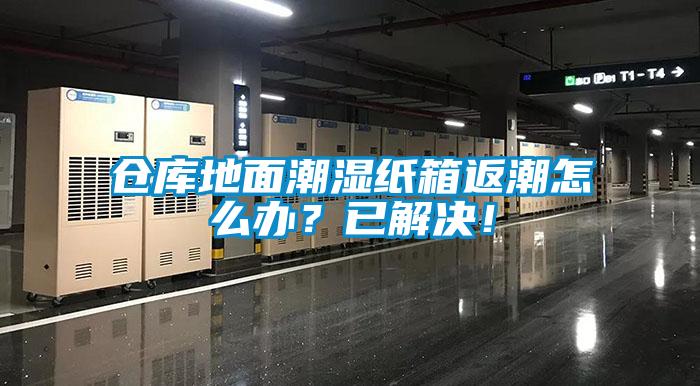 倉庫地面潮濕紙箱返潮怎么辦？已解決！