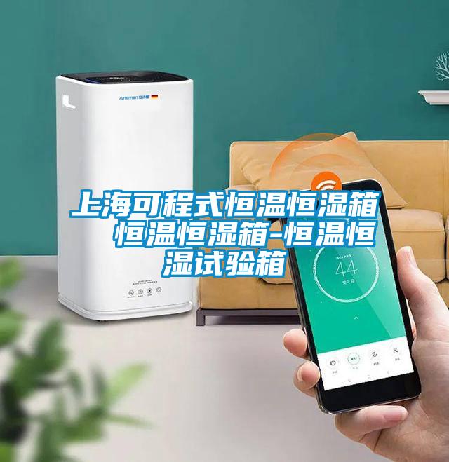 上海可程式恒溫恒濕箱  恒溫恒濕箱-恒溫恒濕試驗(yàn)箱