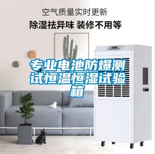 專(zhuān)業(yè)電池防爆測(cè)試恒溫恒濕試驗(yàn)箱