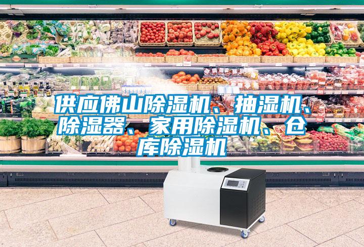 供應(yīng)佛山除濕機、抽濕機、除濕器、家用除濕機、倉庫除濕機
