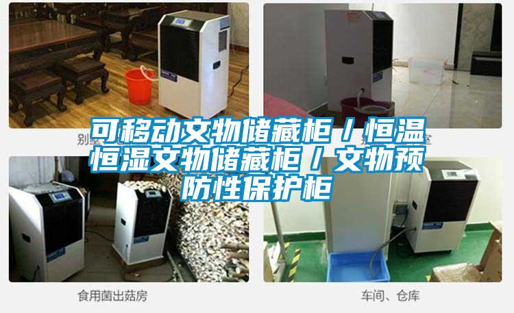 可移動文物儲藏柜／恒溫恒濕文物儲藏柜／文物預(yù)防性保護柜