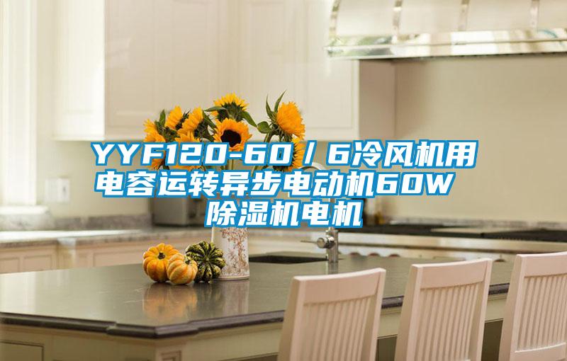 YYF120-60／6冷風(fēng)機(jī)用電容運(yùn)轉(zhuǎn)異步電動機(jī)60W 除濕機(jī)電機(jī)