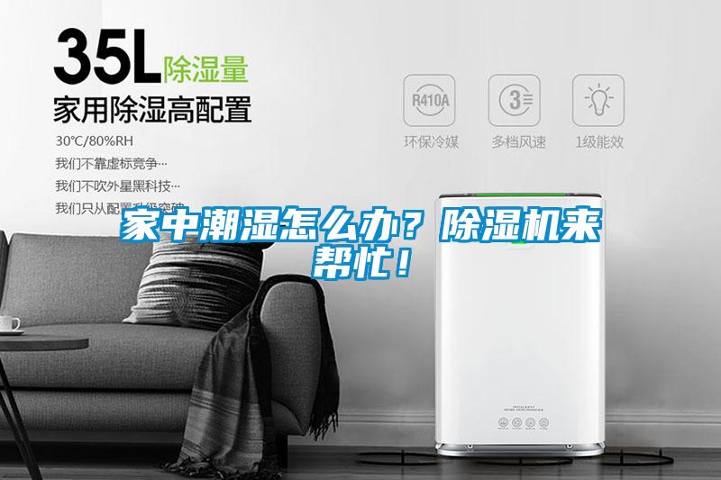 家中潮濕怎么辦？除濕機來幫忙！