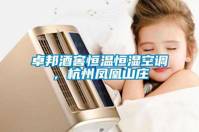 卓邦酒窖恒溫恒濕空調，杭州鳳凰山莊