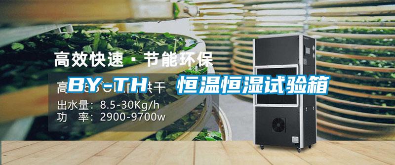BY-TH  恒溫恒濕試驗(yàn)箱