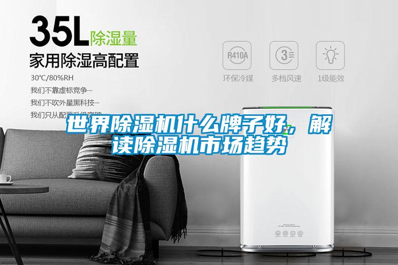 世界除濕機什么牌子好，解讀除濕機市場趨勢