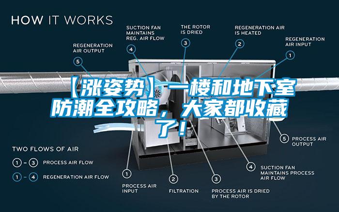 【漲姿勢(shì)】一樓和地下室防潮全攻略，大家都收藏了！