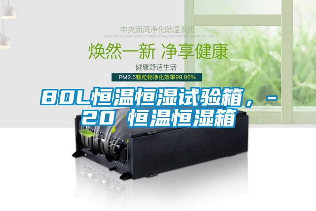 80L恒溫恒濕試驗箱，-20℃恒溫恒濕箱