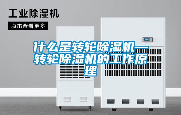什么是轉(zhuǎn)輪除濕機—轉(zhuǎn)輪除濕機的工作原理