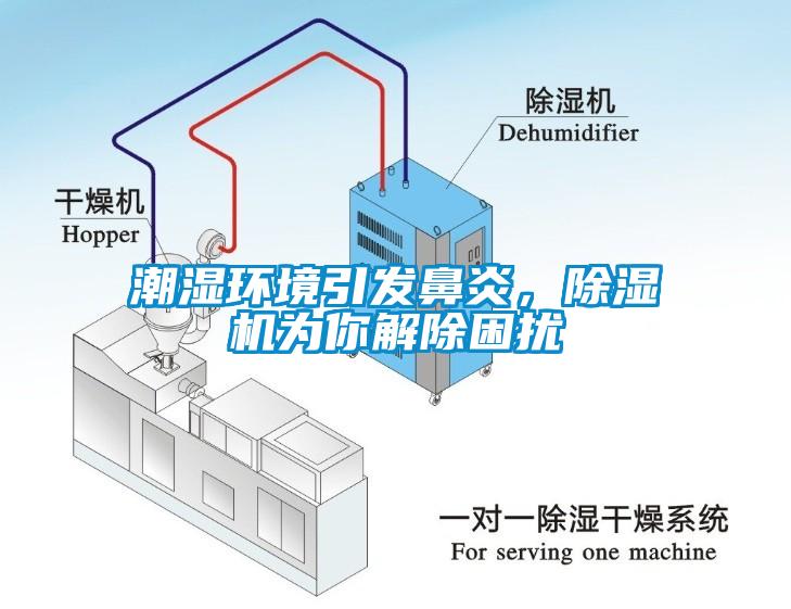 潮濕環(huán)境引發(fā)鼻炎，除濕機為你解除困擾