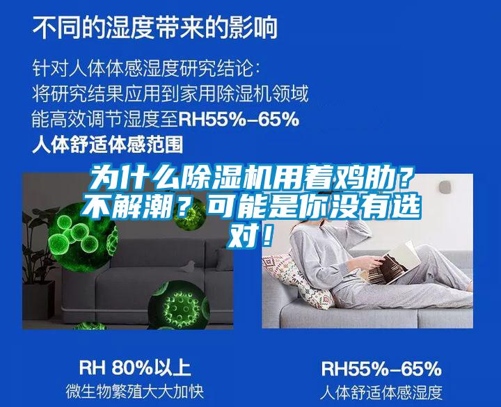為什么除濕機(jī)用著雞肋？不解潮？可能是你沒有選對(duì)！