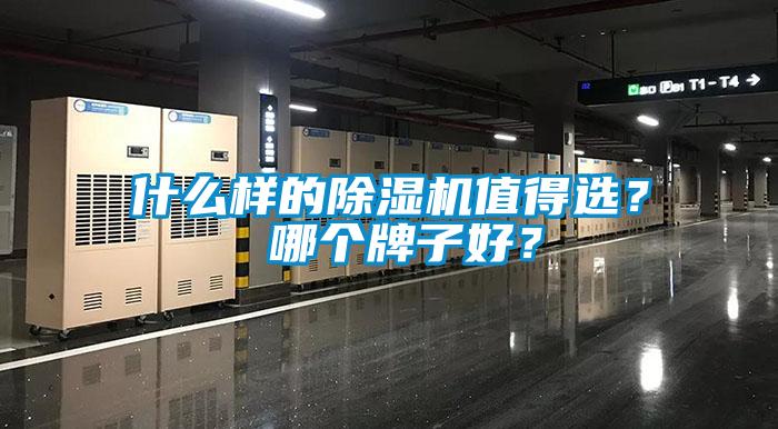 什么樣的除濕機(jī)值得選？ 哪個(gè)牌子好？