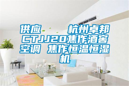 供應    杭州卓邦CTJJ20焦作酒窖空調 焦作恒溫恒濕機