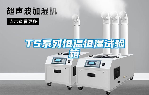 TS系列恒溫恒濕試驗(yàn)箱